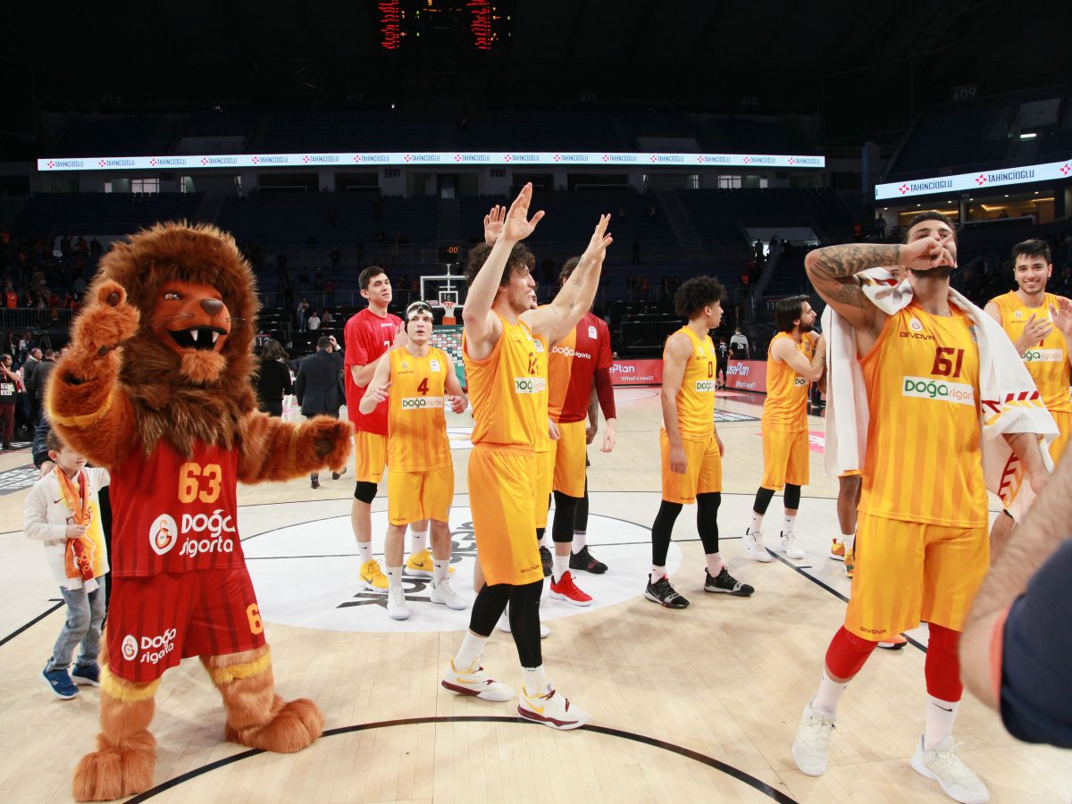 Aslan Doğa Sahalarda Görsel