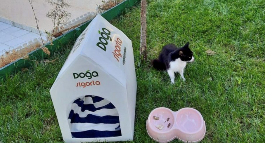 #SevgiDoğasındaVar Sosyal Sorumluluk Projemiz Yoğun İlgi Gördü! Görsel