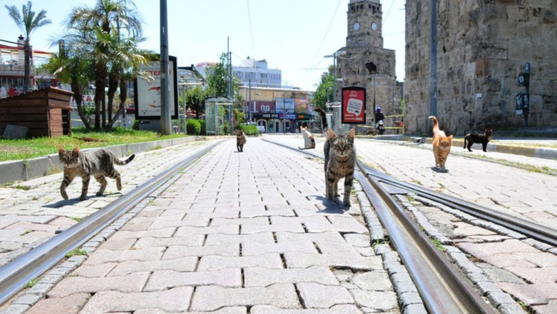 Aktif Hayatta Sosyal Mesafe Nasıl Korunmalıdır? Görsel