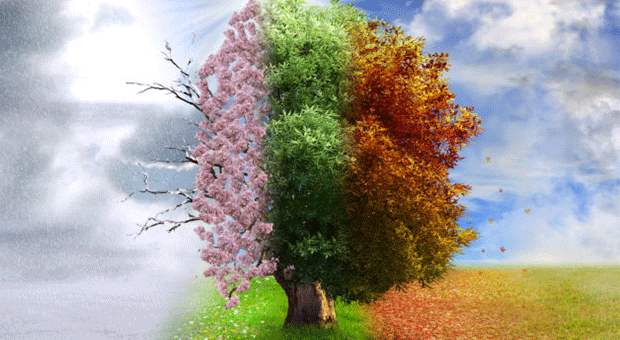 Mevsim Değişikliği Vücudu Nasıl Etkiler? Görsel