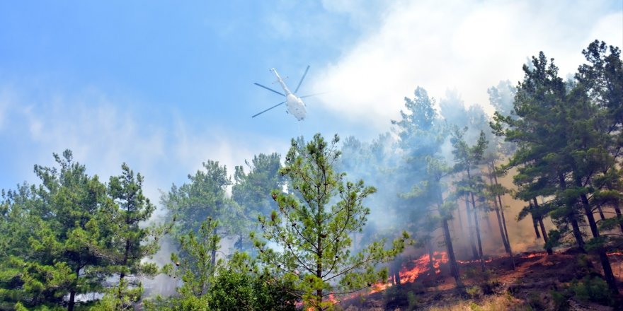 Orman Yangınları ve Önleme Yöntemleri Görsel