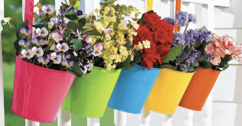 Evde Bitki Yetiştirmenin 5 Faydası Görsel